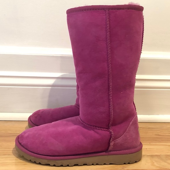 fuchsia uggs